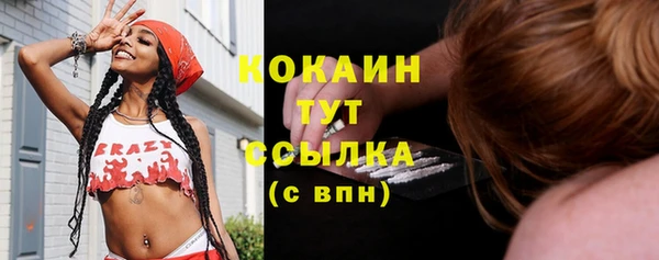 не бодяженный Михайлов