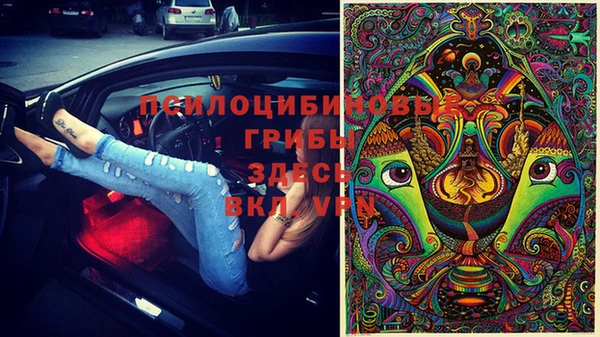 прущие крисы Аша