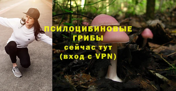 не бодяженный Михайлов