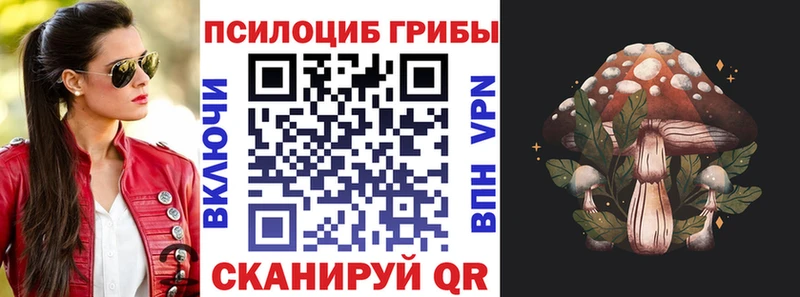 Псилоцибиновые грибы Magic Shrooms  Старая Русса 