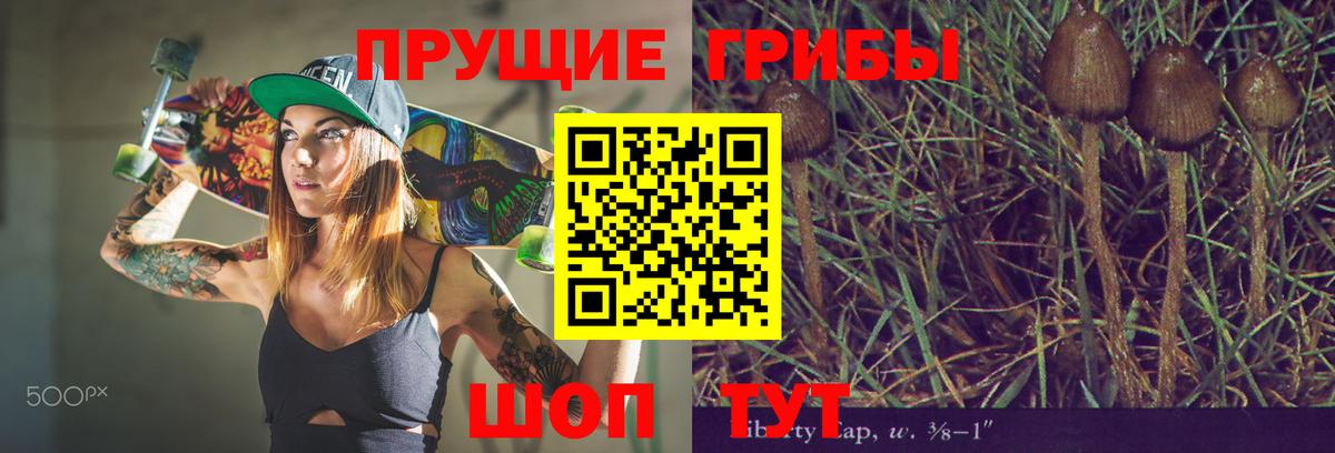 Галлюциногенные грибы мухоморы  Вход с VPN  Старая Русса  Псилоцибиновые грибы Psilocybine cubensis 