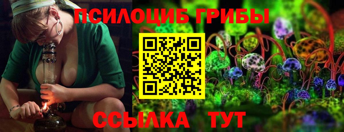 Галлюциногенные грибы MAGIC MUSHROOMS Старая Русса