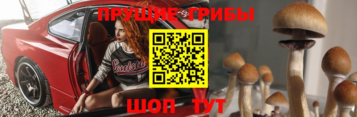 Псилоцибиновые грибы MAGIC MUSHROOMS  Старая Русса  Псилоцибиновые грибы мицелий 
