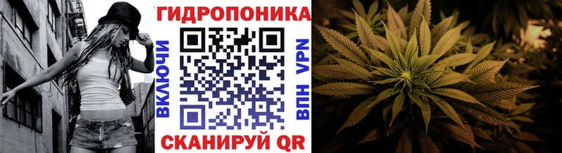 маркетплейс телеграм  mega как войти  Старая Русса  где найти наркотики  Каннабис LSD WEED 